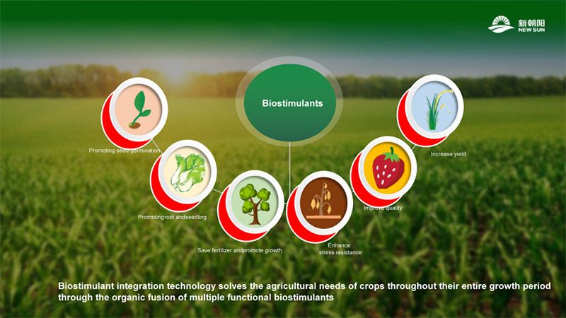 NEW INTEGRATED BIOSTIMULANT TECHNOLOGY ACTIVELY ADDRESSING THE IMPACT OF ABIOTIC STRESSES ON AGRICULTURAL PRODUCTION, HELPING TO IMPROVE BOTH GRAIN YIELD AND QUALITY OF AGRICULTURAL PRODUCTS