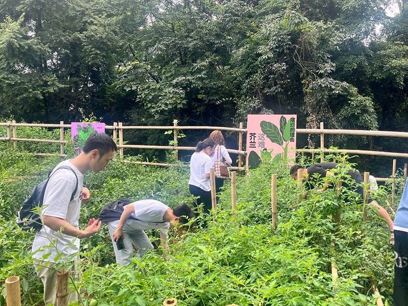 结对共建｜新朝阳党支部开展庆“七一” 主题活动